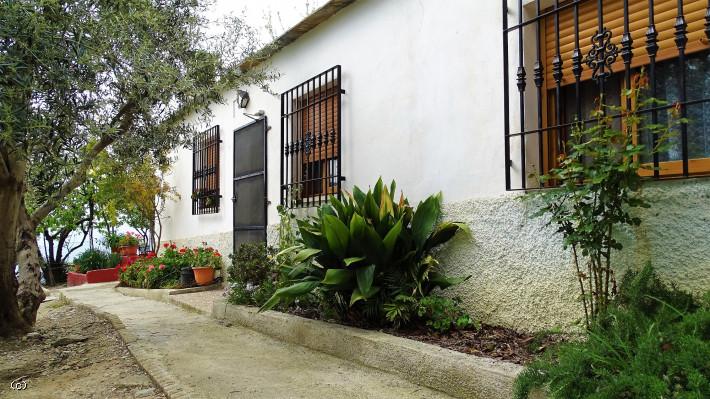 Canar. Legal and cute cortijo and land with a large variety of trees